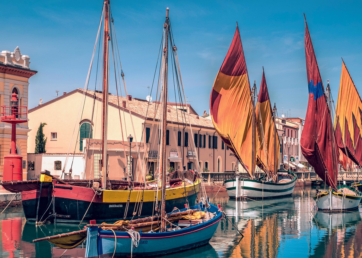 Hero image for Topcat Worlds Cesenatico 2026